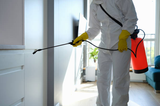 Best Mold Cleaning Services  in Pu, HI